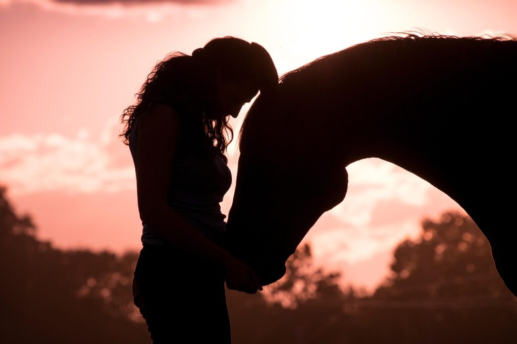 horse, woman, animal, nature, human, love, trust, cuddle, smooch, connectedness, afterglow, evening sun, sunset, silhouette