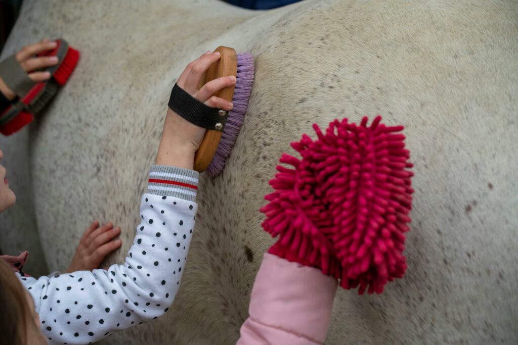 Close-up of children brushing a horse with colorful grooming tools, showcasing hands-on animal care.