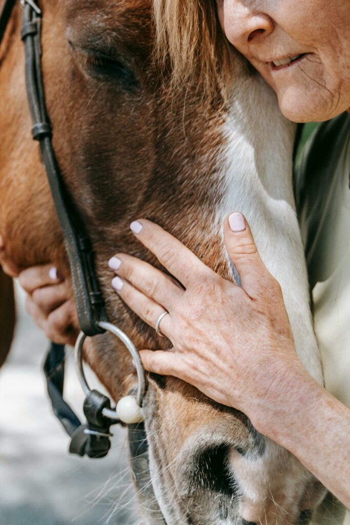 A serene close-up of a woman gently caressing a horse, symbolizing peace and connection.