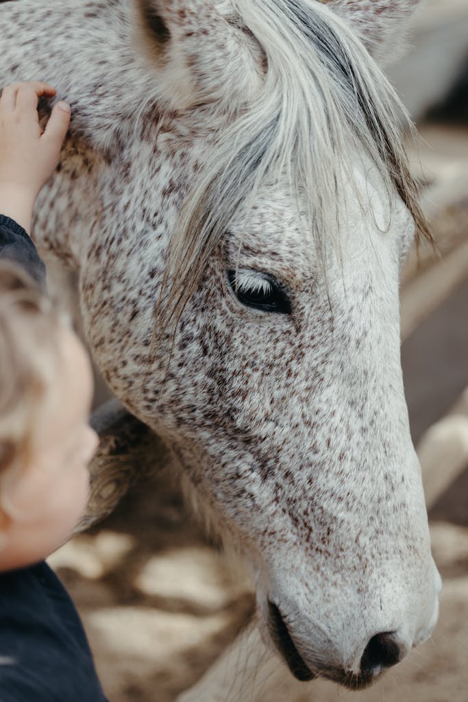 A child gently pets a speckled horse, showcasing a tender connection in nature.